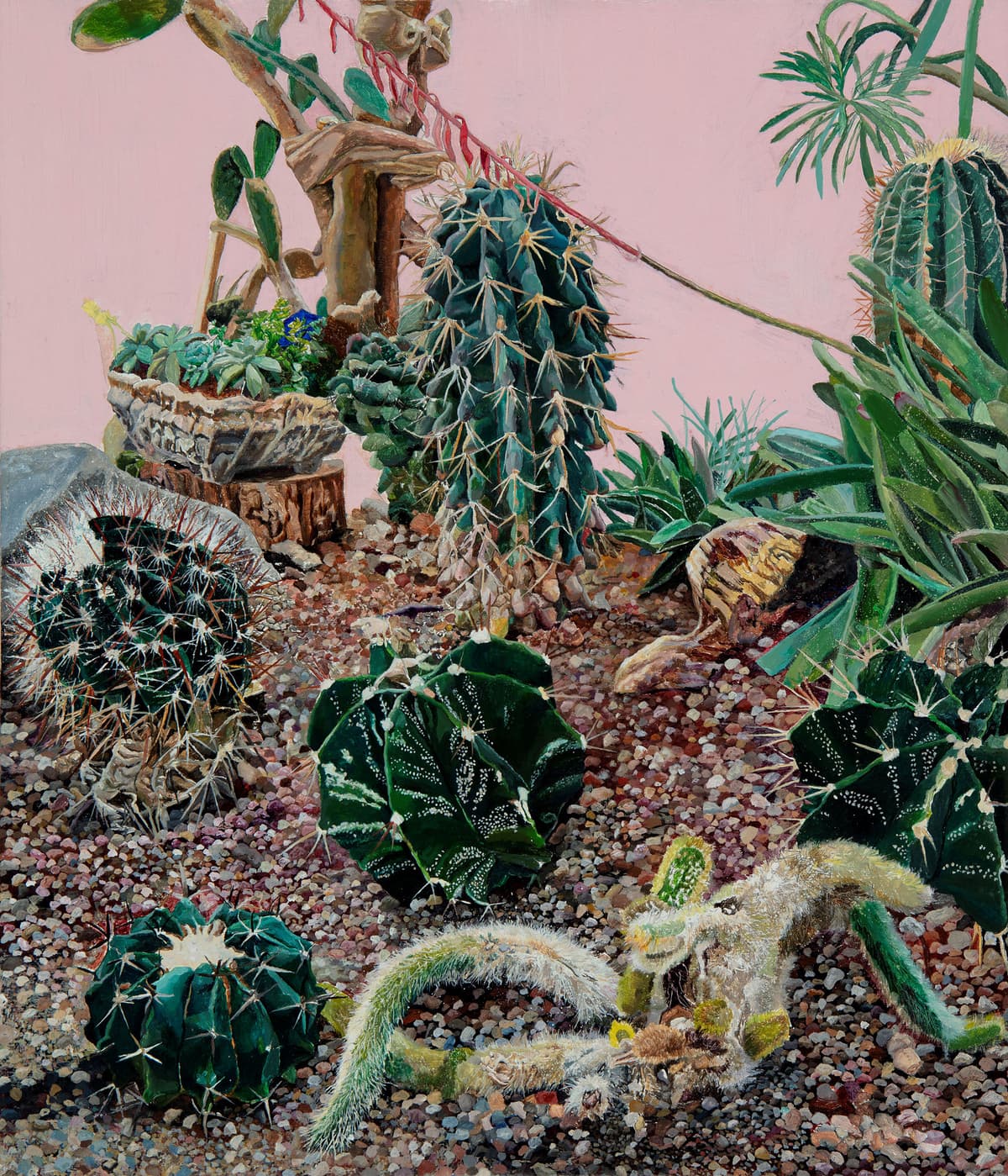 GANG Ki hoon SOLO EXHIBITION - 옮겨진 정원